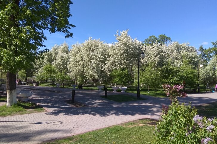 Александровский (Загородный) сад.