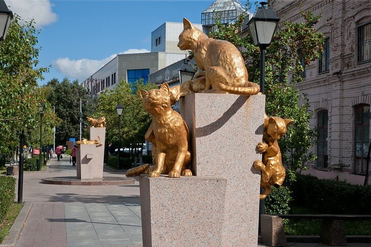 Сквер сибирских кошек.