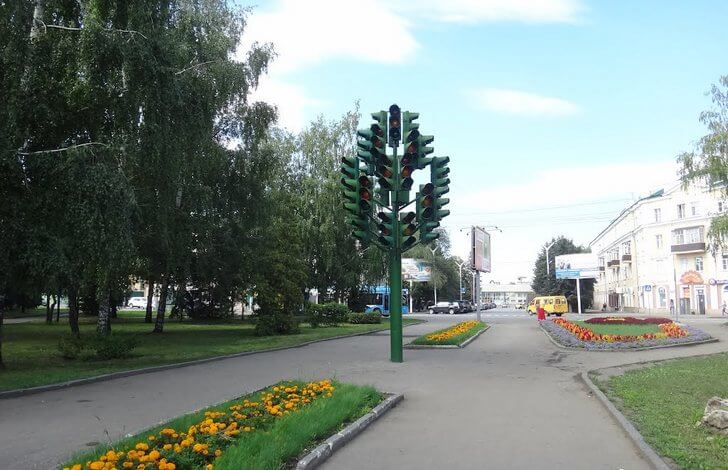 Светофорное дерево.
