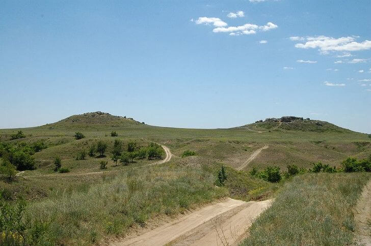 Камышинские уши.