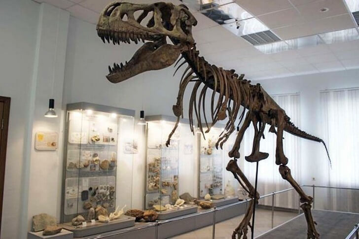 Геологический музей им. А. А.Чернова.