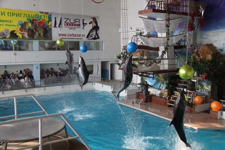 Набережночелнинский дельфинарий.