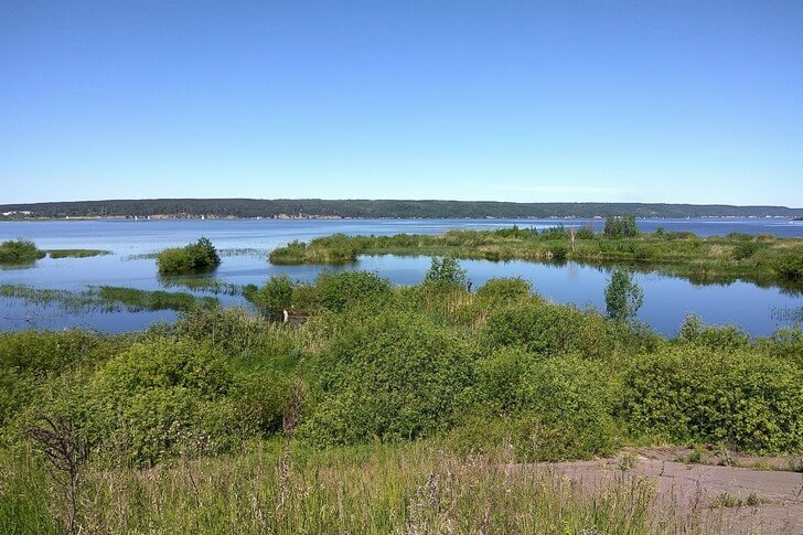 Парк «Прибрежный».