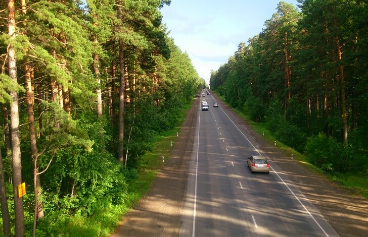 Барнаульский ленточный бор.