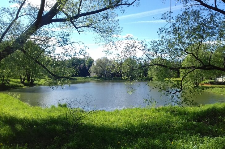 Переславский дендрологический сад.