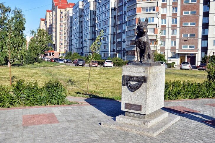 Памятник преданности.